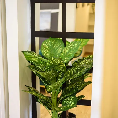 Luxury Apartment In Central City Naples Exterior photo